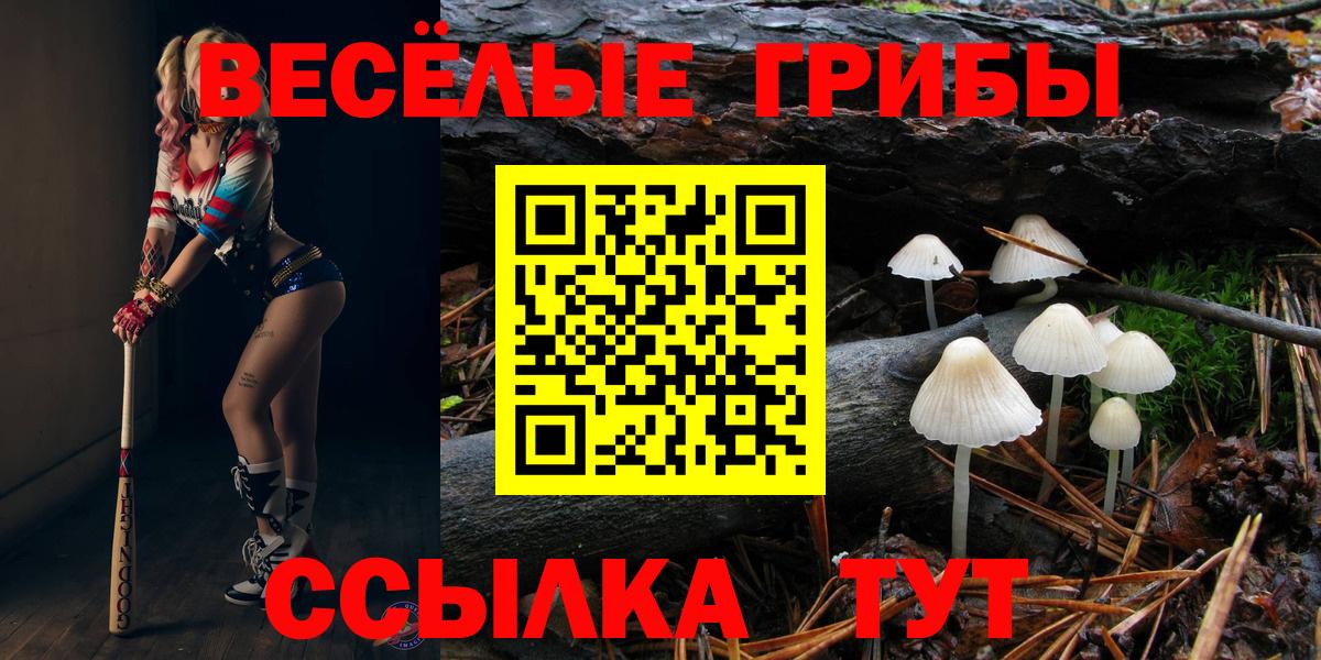 Галлюциногенные грибы MAGIC MUSHROOMS  Вход с VPN  Псилоцибиновые грибы Psilocybe  Радужный 
