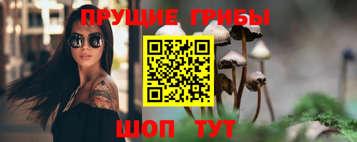 Псилоцибиновые грибы прущие грибы Радужный